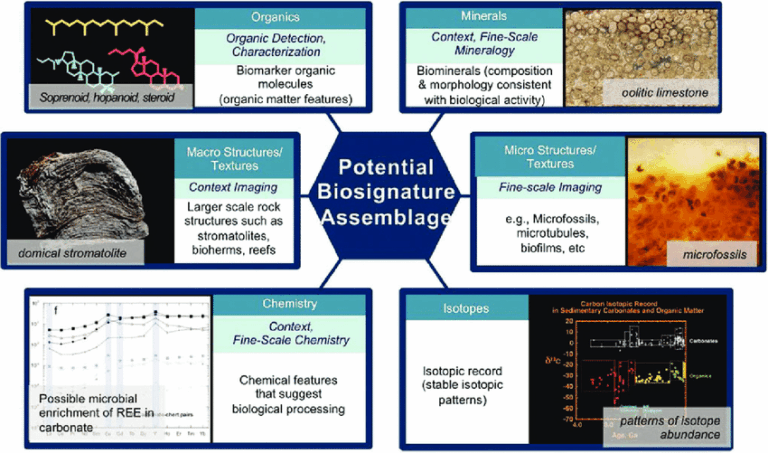 Organic Geochemistry