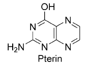 Pterins – A novel biosignature